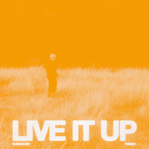 33 Below Live It Up Bushbaby Remix