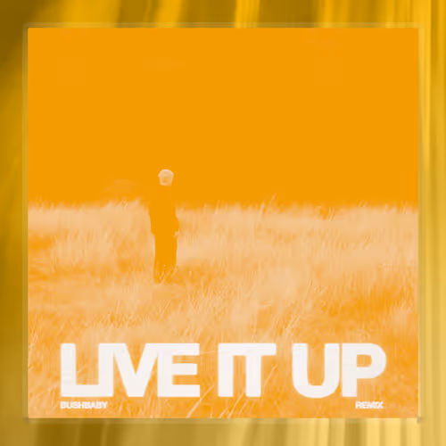 LIVE IT UP (Bushbaby Remix) - Golden Egg