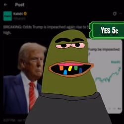 231
