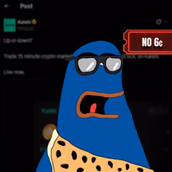 PolyTrauma #308