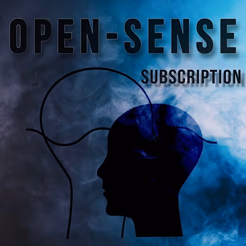 Sense 31