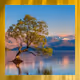 Wanaka - Golden Egg