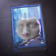 2558