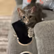 LiL One