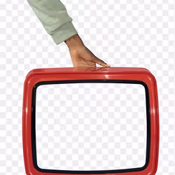 43