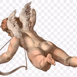 45