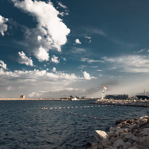 Harbor’s Edge #145