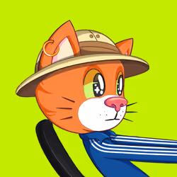 7797
