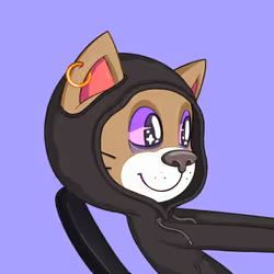511