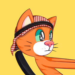7979