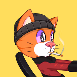 6461