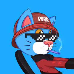 megapurrs #6789