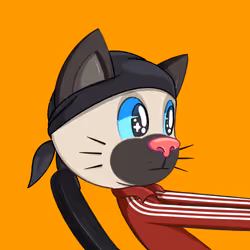 5317
