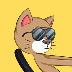 813