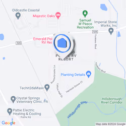 39631 Dawson Chase Dr, Zephyrhills, FL, USA