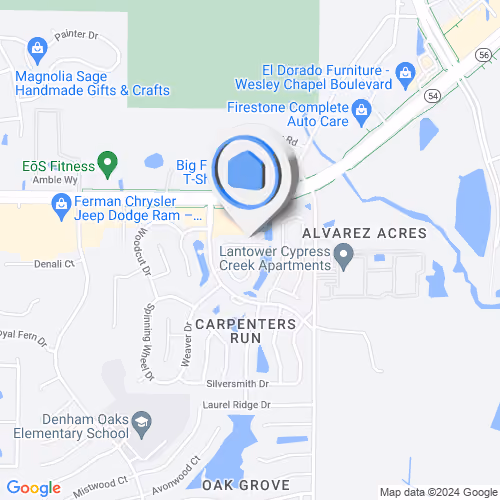 1774 Tinsmith Circle, Lutz, FL, USA
