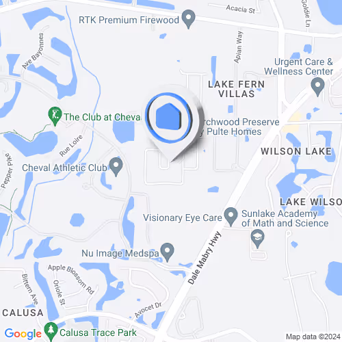 18825 Cherry Birch Circle, Lutz, FL, USA