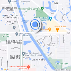 343 Canal Way, Oldsmar, FL, USA