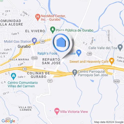 Puerto Rico 181, Gurabo, Puerto Rico