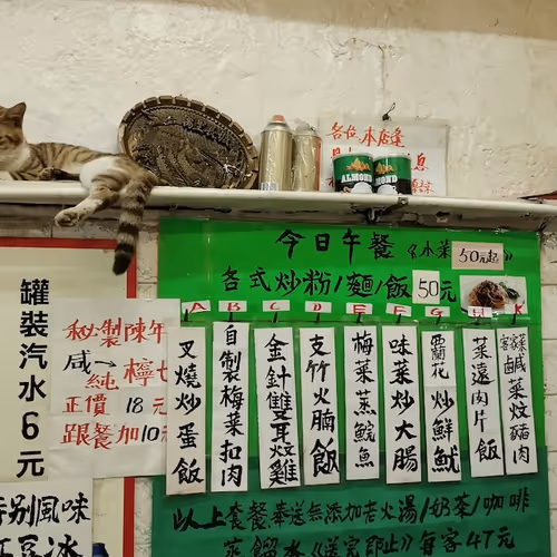 Dhk Qi Bai Wan Ren Shang Lian Zhi Dao 255474774
