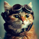 cat