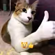 😸👍