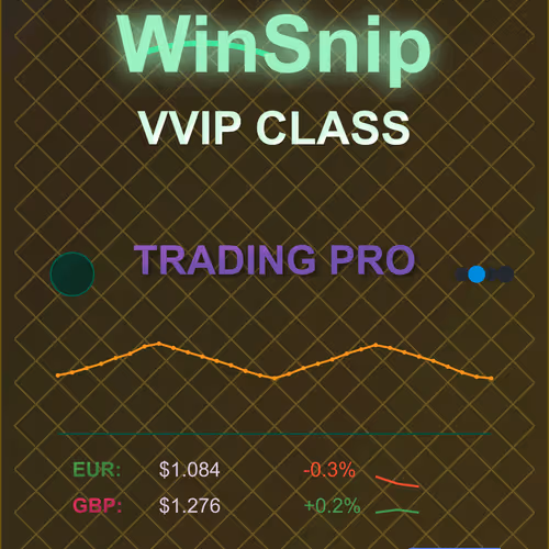 Winsnip Class Trading