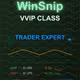 WinSnip Forex #1705
