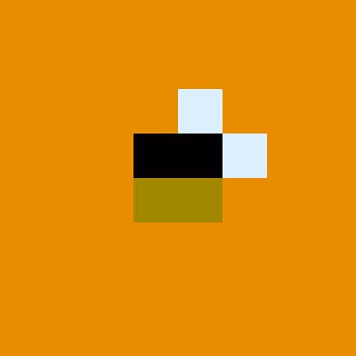 Flies 6