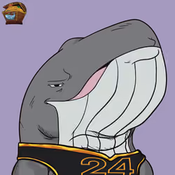 Item Media