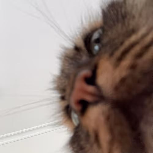 Unidentified contract 01e14724-0d81-43a5-be48-c387b875b897