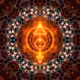Fractalography