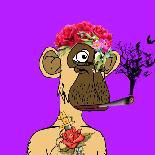 X13 Apes Genesis