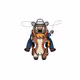 RODEO RIDER 11