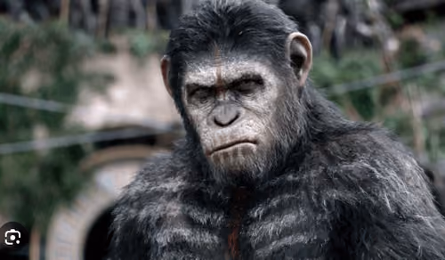 ape  1