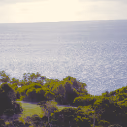 항목 미디어 플레이스홀더