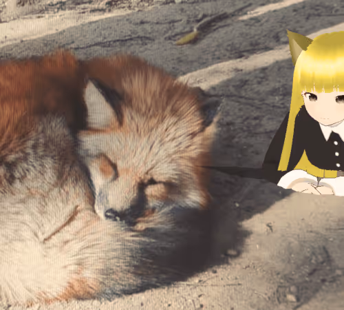 Daily Miint Fox