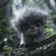 Fuzzies