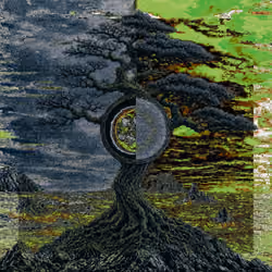 Root of Duality