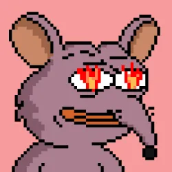 256