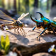 Rhinoceros Beetle