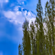 Damavand