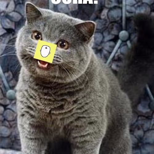 I CAN HAS CURA?