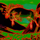 56