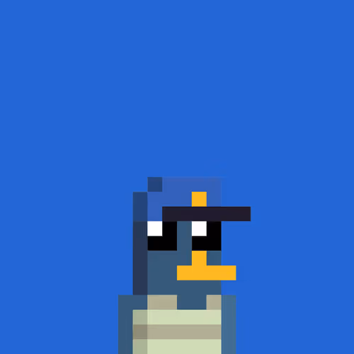 Plattynft
