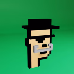Based Voxel Punks #208