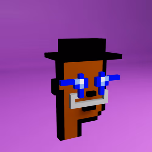 Based Voxel Punks #606