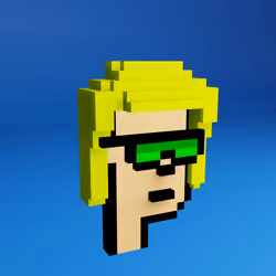 Based Voxel Punks #206