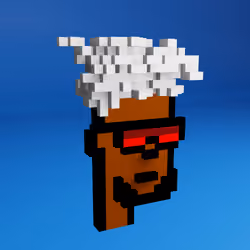 Based Voxel Punks #408