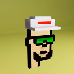 Based Voxel Punks #223
